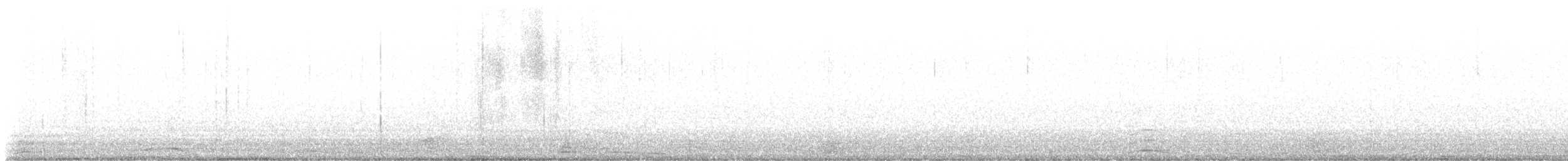 Cygne siffleur - ML540128191