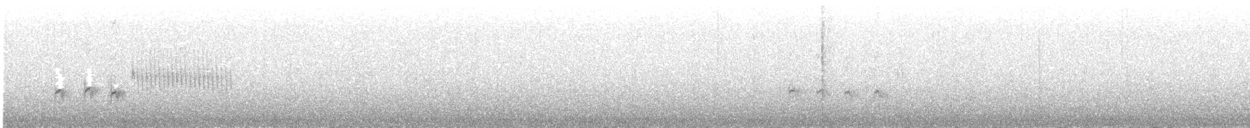 Тауї плямистий - ML540196621