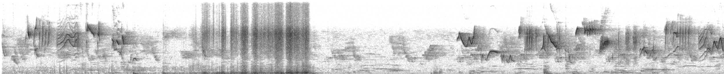 Strichelgirlitz - ML540227431