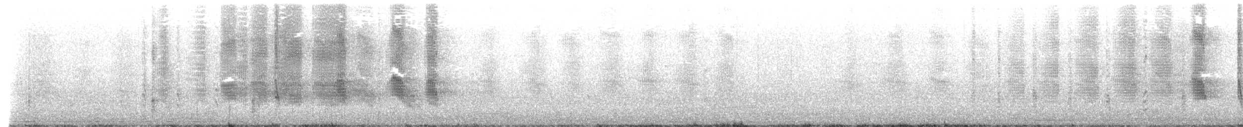 Boat-tailed Grackle - ML540319311