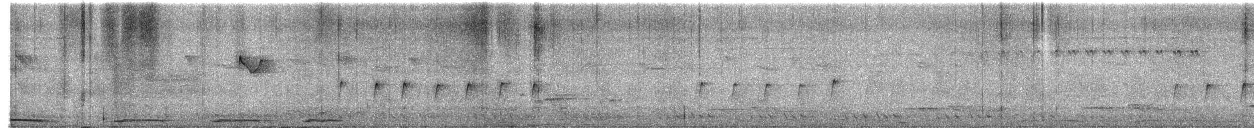 langhaleskredderfugl - ML540354601