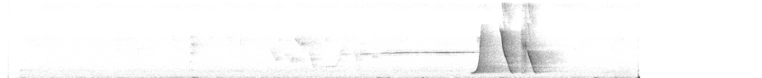 Белогорлая птица-бич - ML540380031