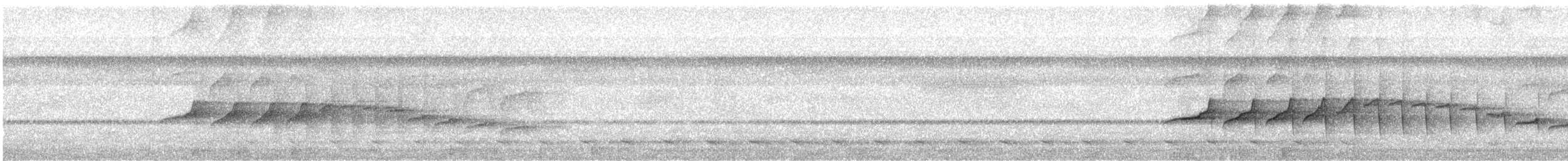 Braunweiß-Ameisenvogel - ML540395001
