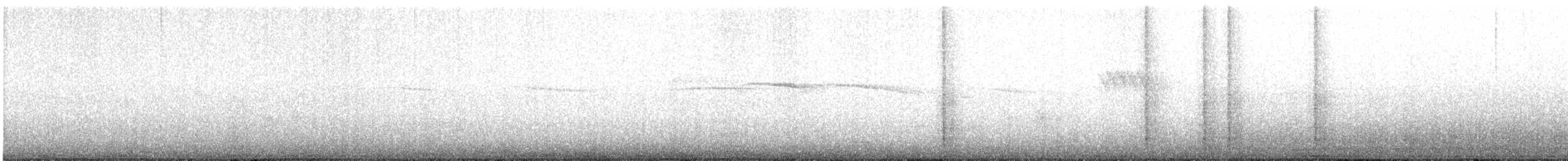 Buztanori japoniarra - ML540430491
