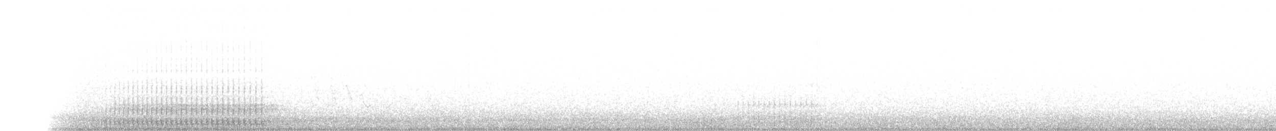 Haarspecht - ML54044331