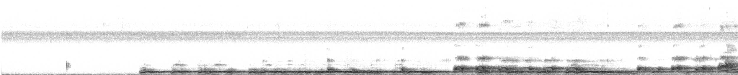 Chouette rayée - ML540464801