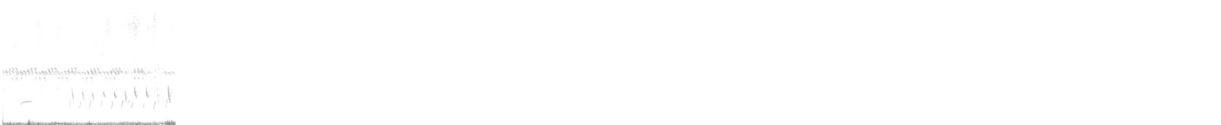 Зулбаран гургалдай - ML540484281