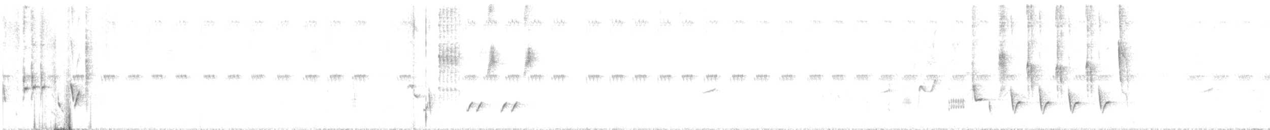 Зулбаран гургалдай - ML540484461