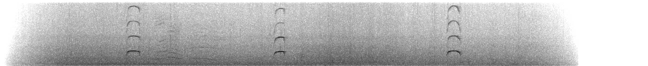Huîtrier noir - ML540524901