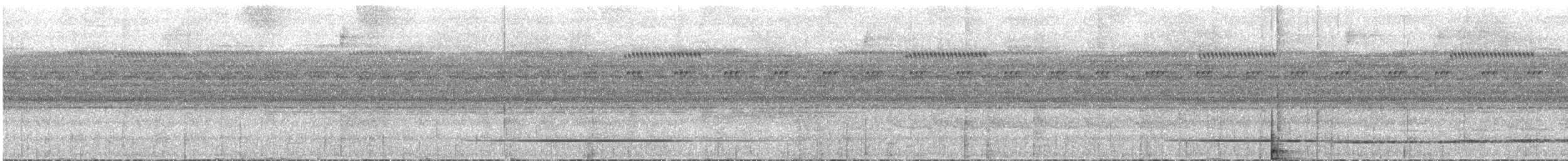 Красногрудый скрытохвост - ML540601611