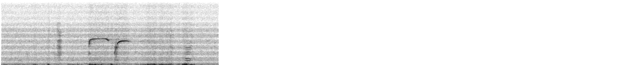 Pisaka tinamua - ML540644281