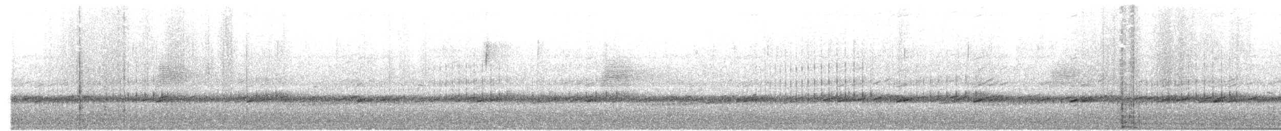 amerikarugde - ML540682571