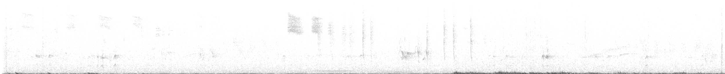 Rufous/Allen's Hummingbird - ML540708671