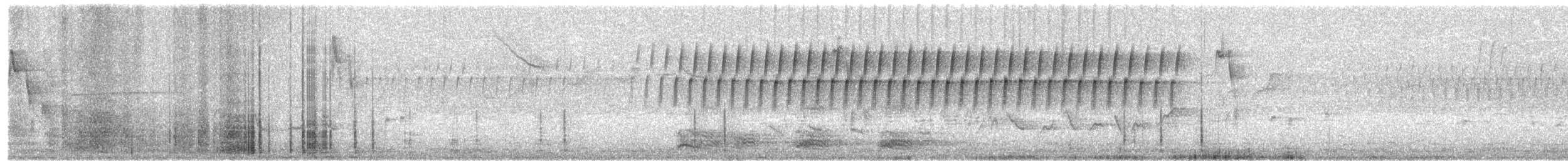 Schwirrammer - ML54071491