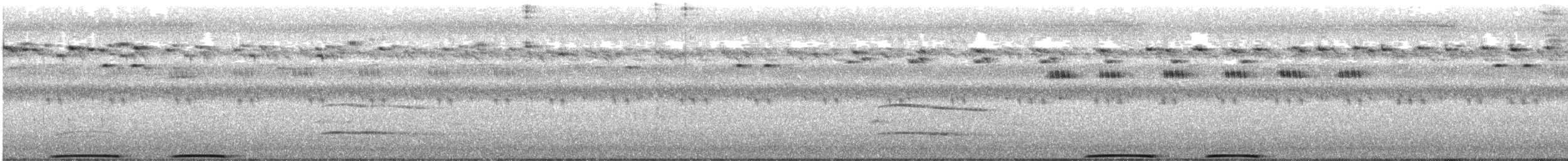 Rufous Owl - ML540757191