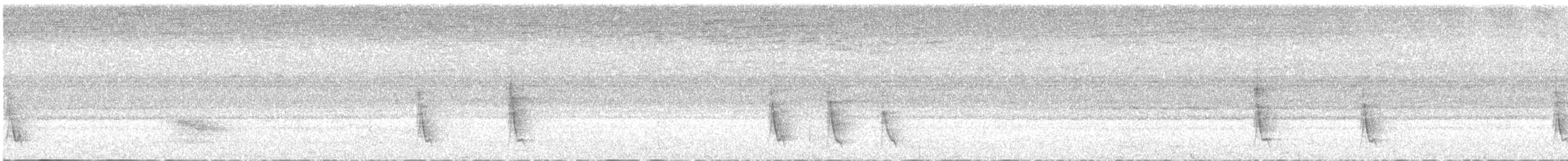 tøylebørstebylbyl (notatus) - ML540819471