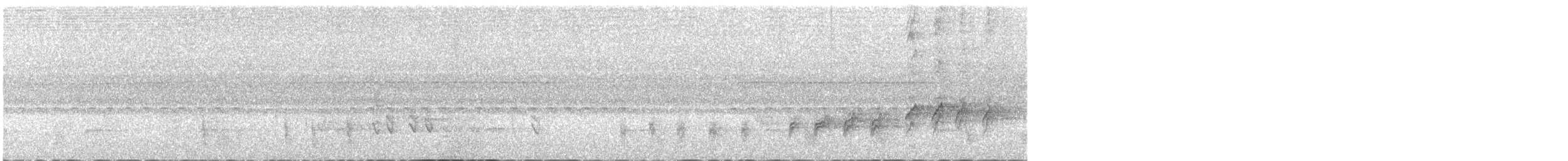 Pale-breasted Illadopsis - ML540819751