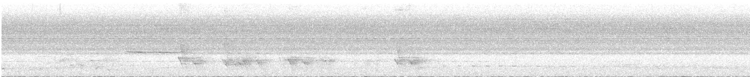 Prionopo Ventrirrojo - ML540831901