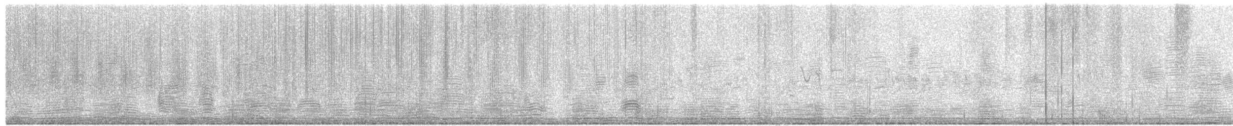 Streifengans - ML540839721