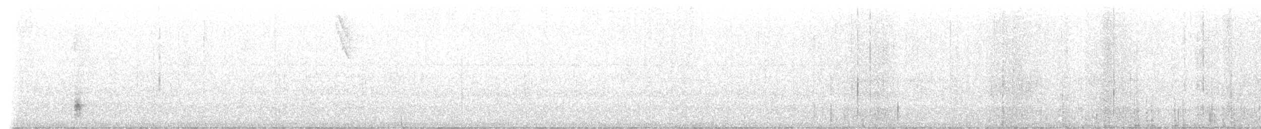 Grauband-Ameisenvogel - ML540892241