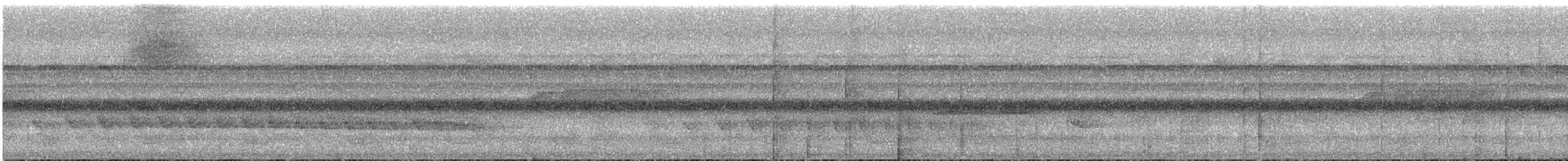 Kurzschwanz-Ameisenschlüpfer - ML540898671