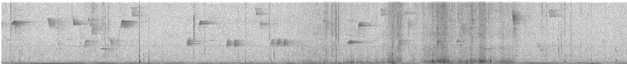 Lesser Antillean Euphonia - ML540925551