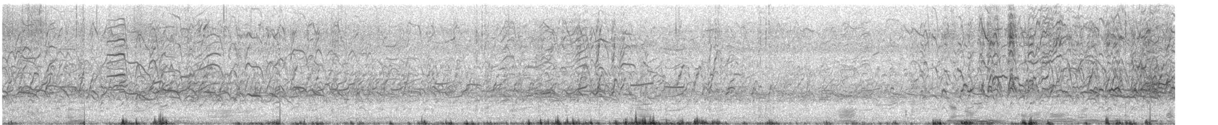 Rotschnabel-Pfeifgans - ML540940431