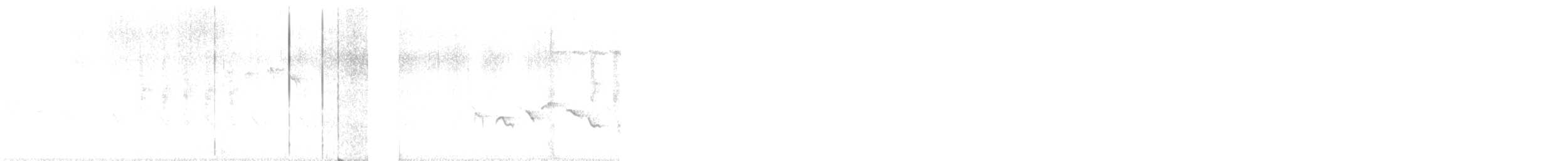 Sardinian Warbler - ML540946201