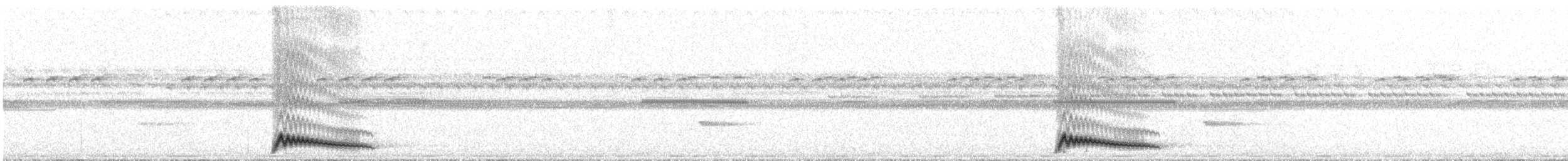 Augennachtschwalbe - ML540969331