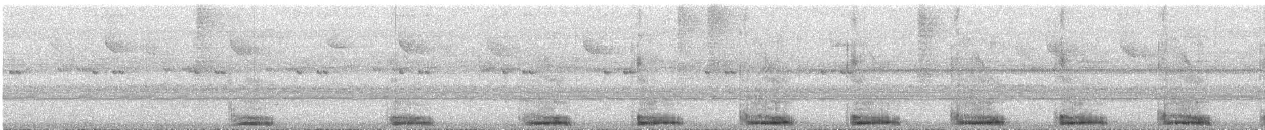 フイリコチュウハシ - ML540982721