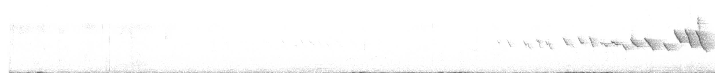 Белолицая канделита - ML541016021