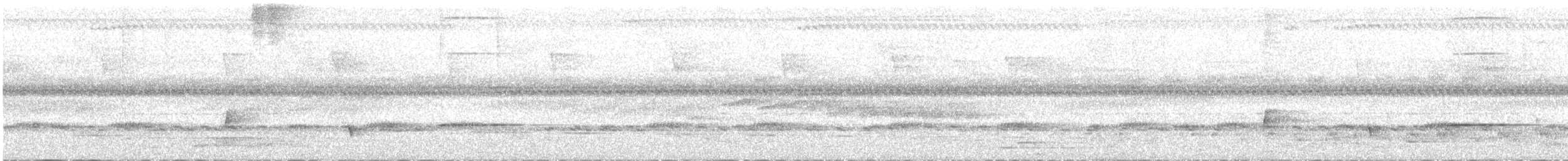 Pale-breasted Illadopsis - ML541022071