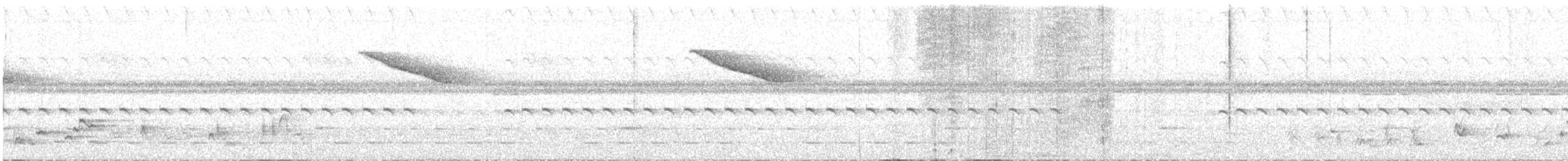 Néocossyphe à queue blanche - ML541025001