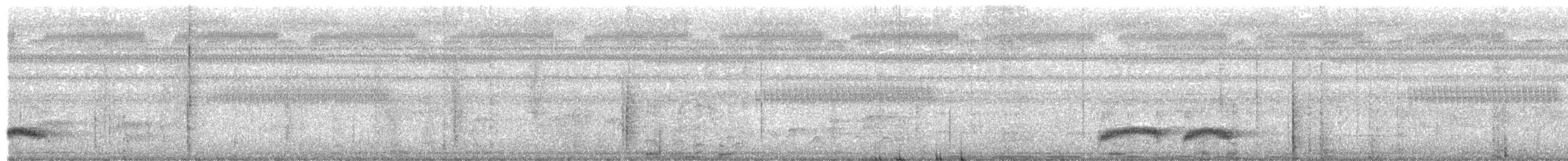 Batılı Kara Başlı Pitta - ML541084701