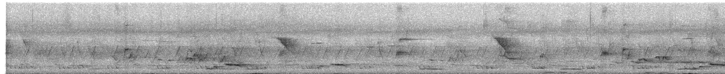 holub ostroocasý - ML541119941