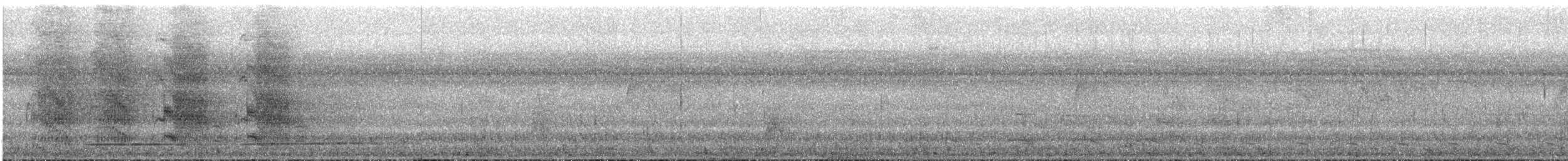 White-throated Tinamou - ML541235461