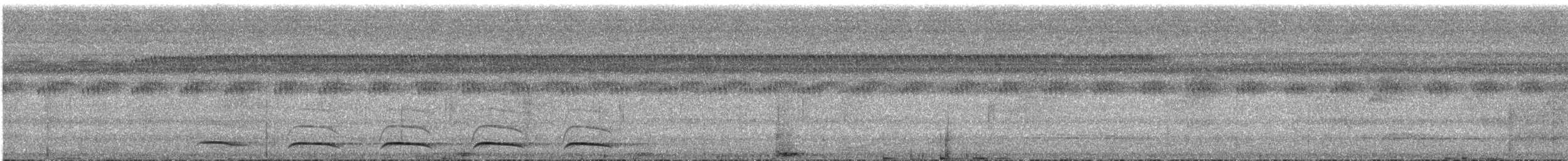 trogon černohrdlý - ML541241931