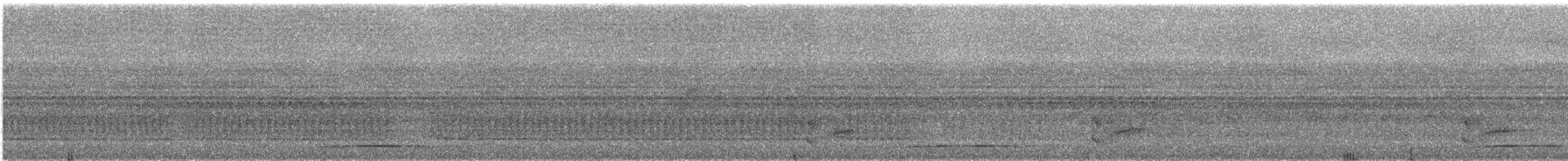 Safir Renkli Bıldırcın Kumrusu - ML541249571