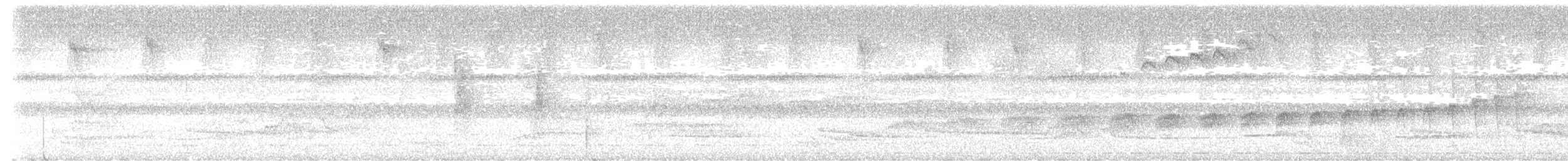 Black-tailed Leaftosser - ML541279251