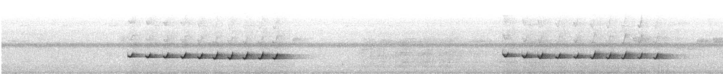hvitstrupebarkkryper (minor) - ML541281441