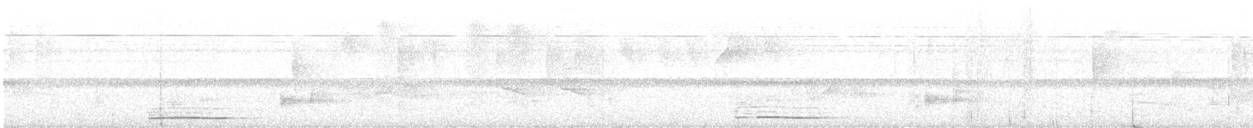 Safir Renkli Bıldırcın Kumrusu - ML541282461