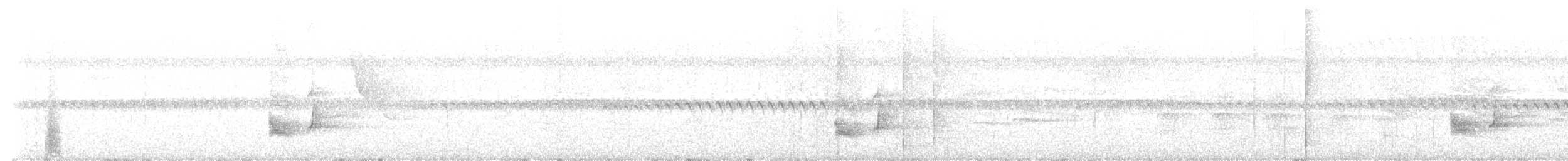 holub safírový - ML541282471
