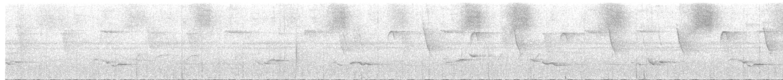 Tawny-bellied Hermit - ML541287491