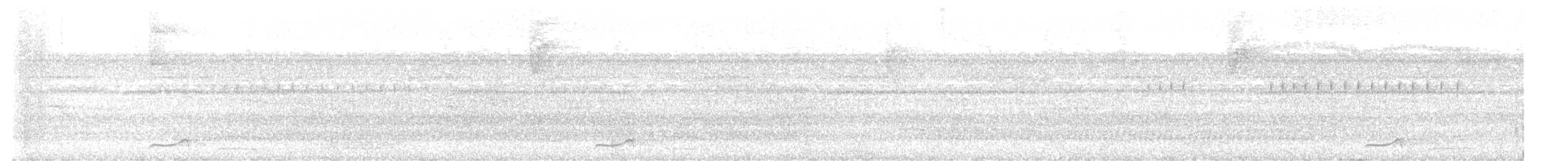 riflingspett (grammicus gr.) - ML541294941