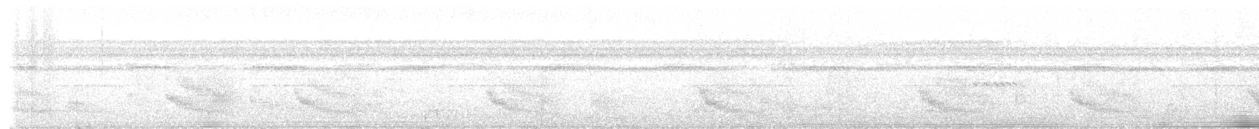 Braunweiß-Ameisenvogel - ML541295511