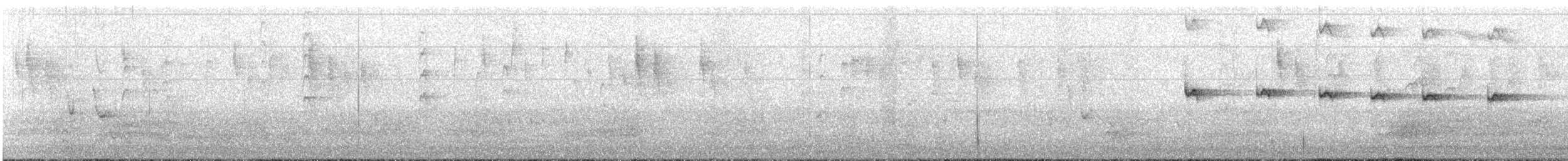 Королаз плямистобокий [група leucophaea] - ML541298541