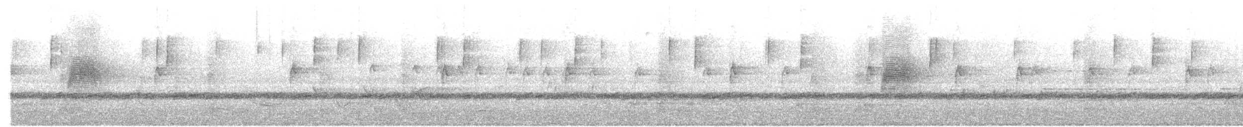 sluka americká - ML541314971
