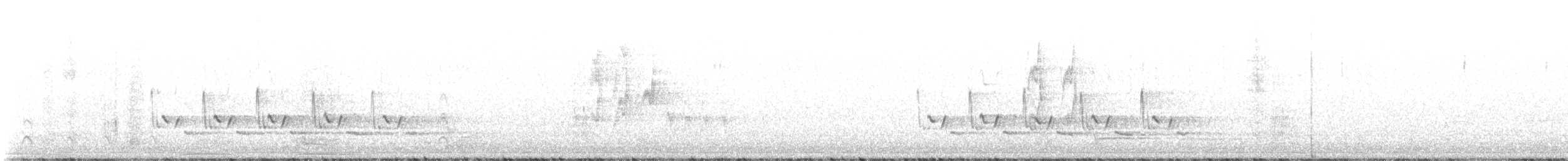 Поплітник каролінський - ML541341881