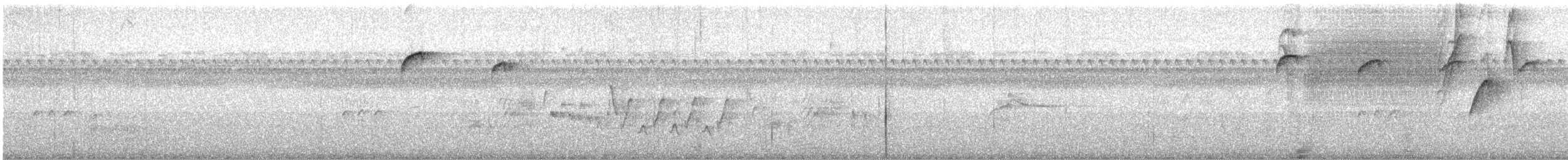 Golden-spangled Piculet - ML541343641