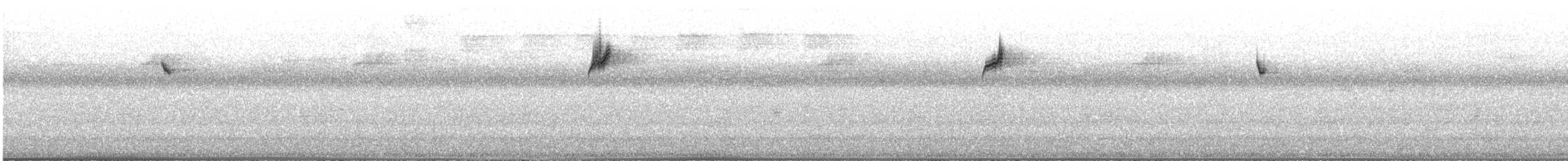 ノドジロキリハシハチドリ - ML541345791